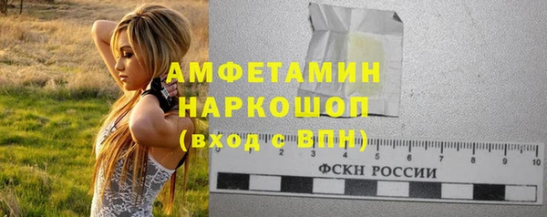 прущие грибы Киров