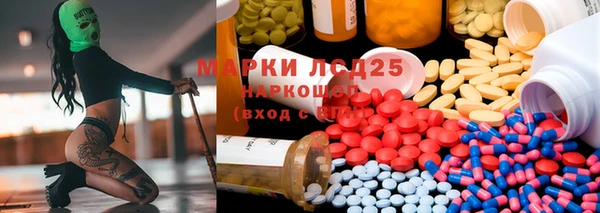 прущие грибы Киров