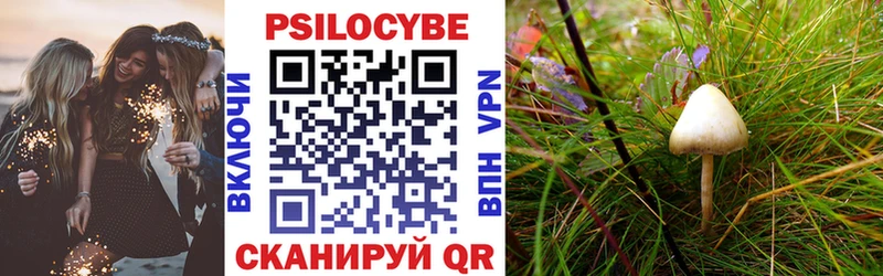 Псилоцибиновые грибы прущие грибы  Дрезна 